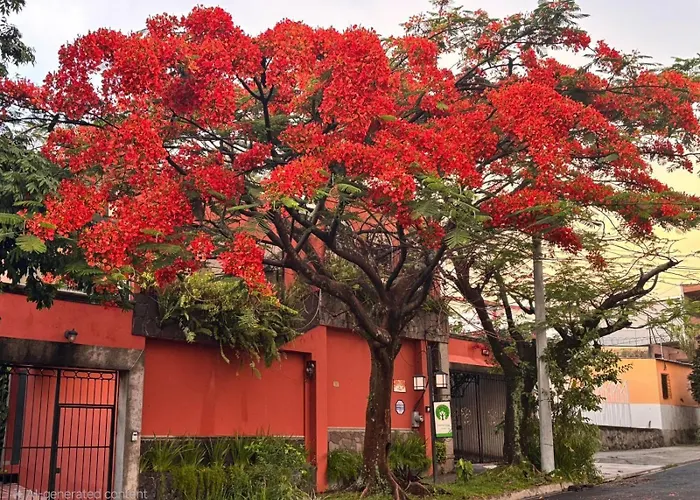 Arbol De Fuego Eco-Hotel