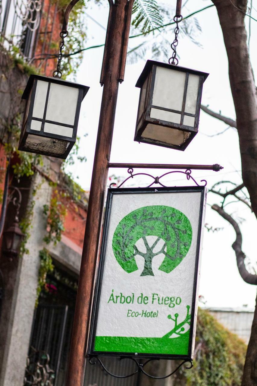 Hotel Arbol De Fuego Eco-hotel San Salvador