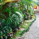 Arbol De Fuego Eco-Hotel