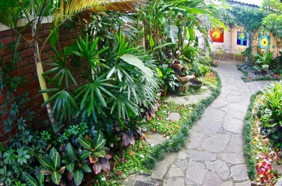 Hotel Arbol De Fuego Eco-hotel 3*