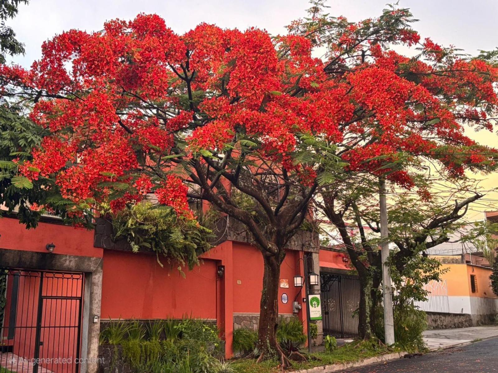 Arbol De Fuego Eco-hotel Hotel 3*