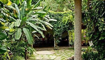 Hotel Arbol De Fuego Eco-hotel