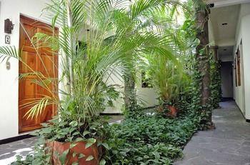 Hotel Arbol De Fuego Eco-hotel