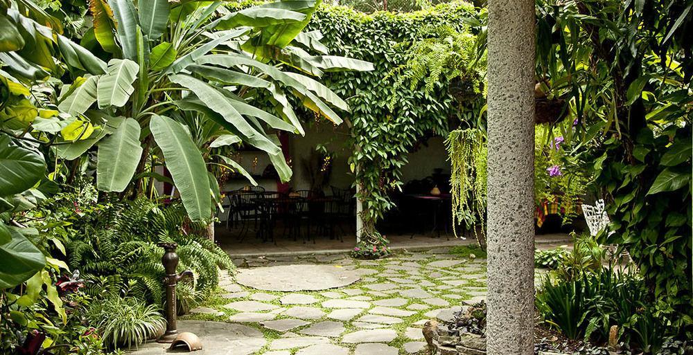 Hotel Arbol De Fuego Eco-hotel San Salvador