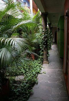Hotel Arbol De Fuego Eco-hotel San Salvador