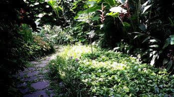 Hotel Arbol De Fuego Eco-hotel