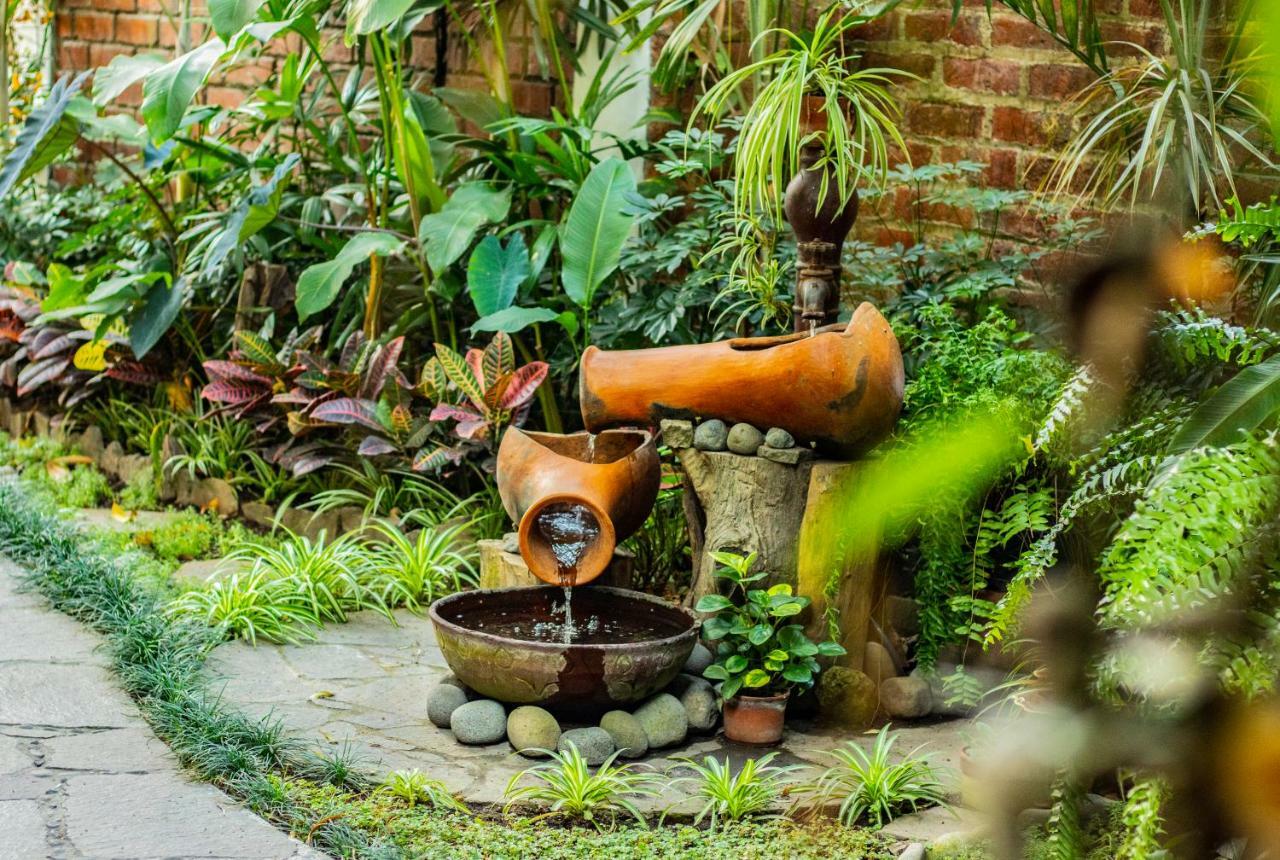 Hotel Arbol De Fuego Eco-hotel 3*