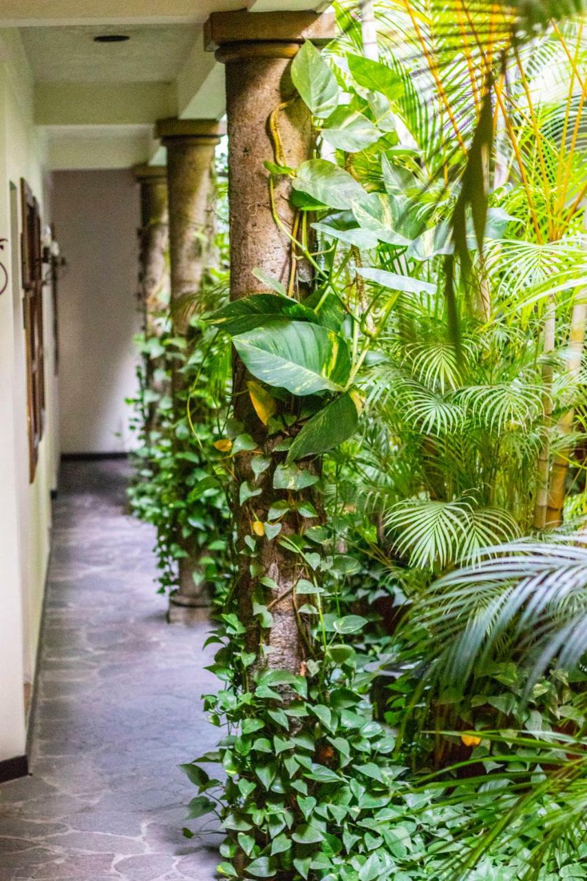 Arbol De Fuego Eco-hotel Hotel 3*