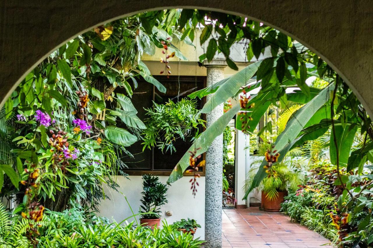 Hotel Arbol De Fuego Eco-hotel San Salvador