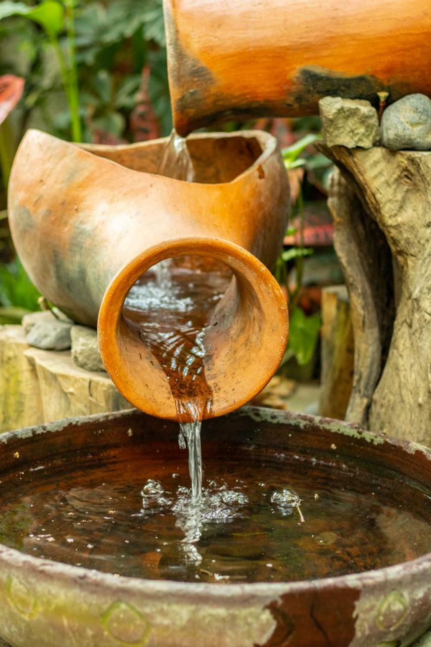 Hotel Arbol De Fuego Eco-hotel