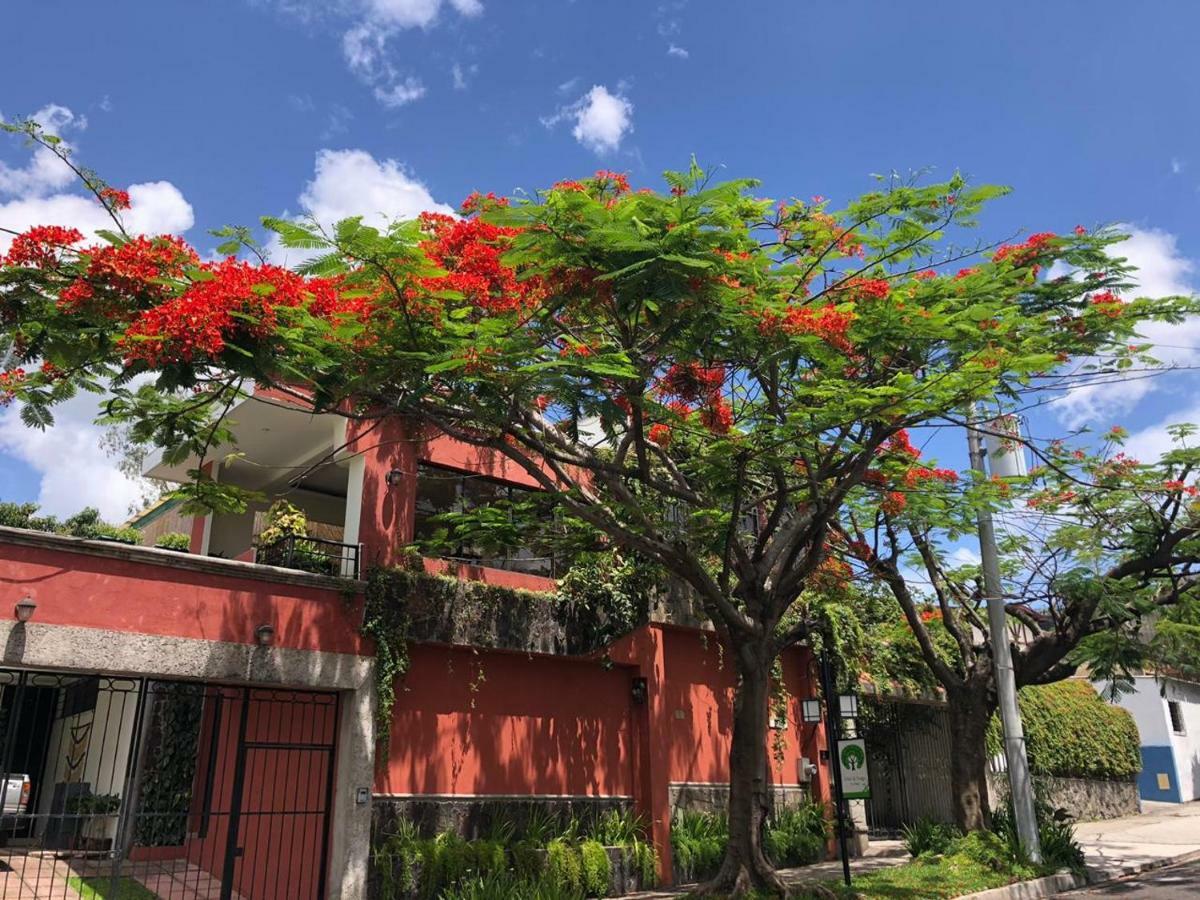 Hotel Arbol De Fuego Eco-hotel